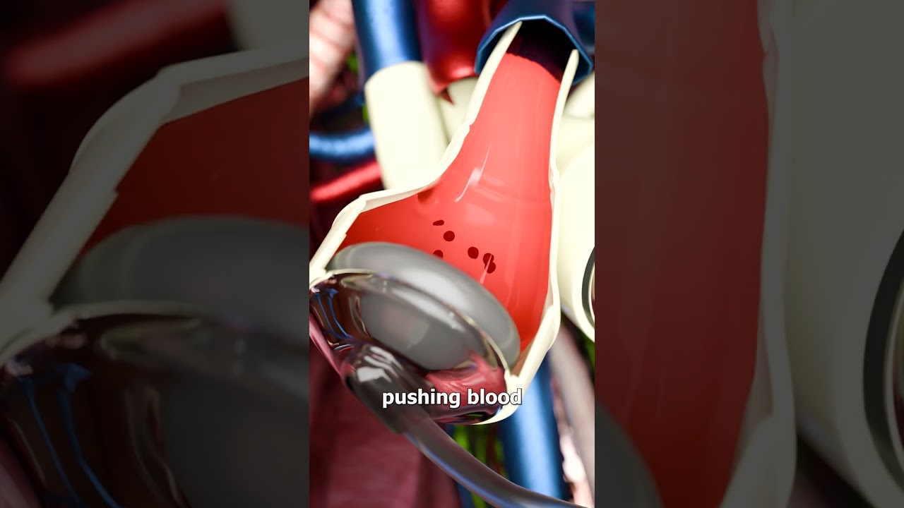 How Artificial Hearts Work 🤔