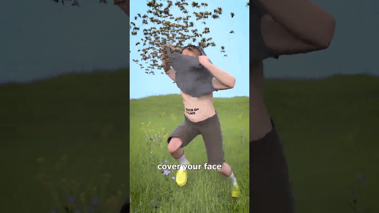 How To Survive A Swarm Of Bees 😱