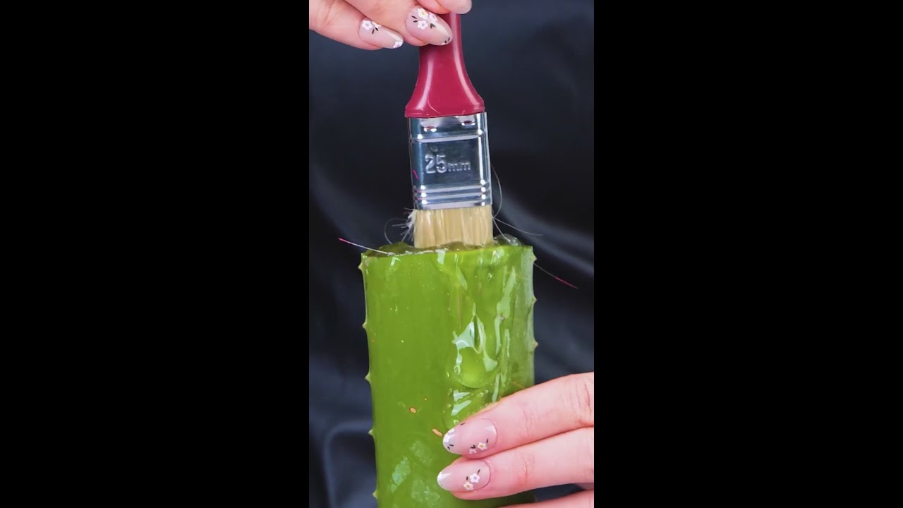 How to use aloe vera for your repair projects