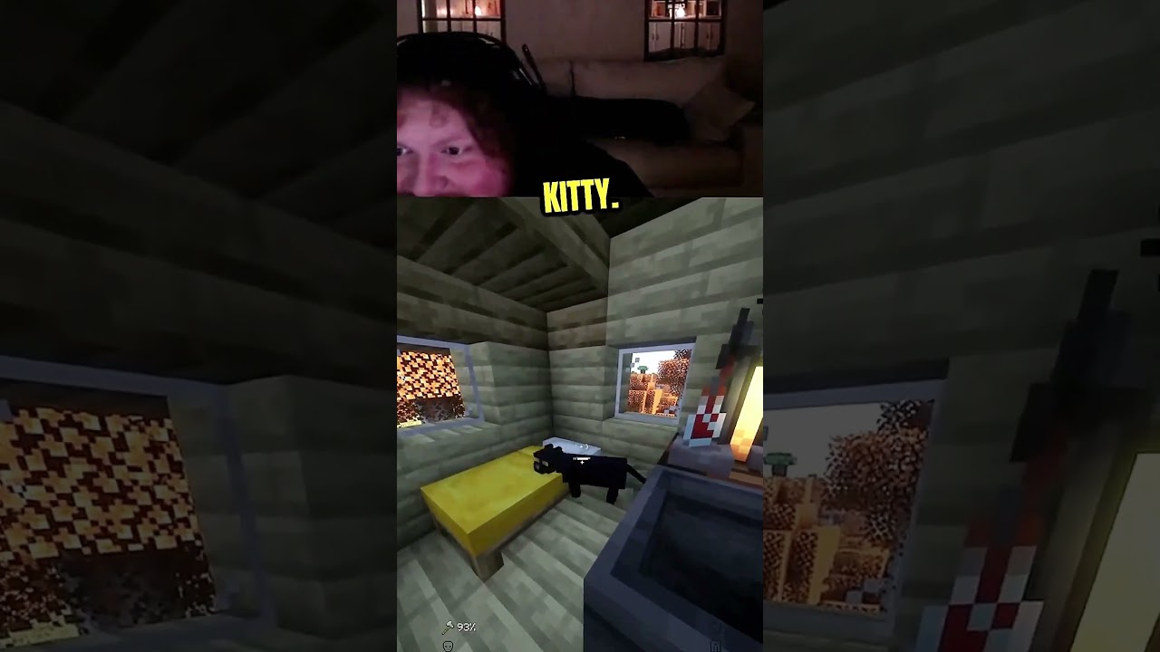 i found my kitty in minecraft
