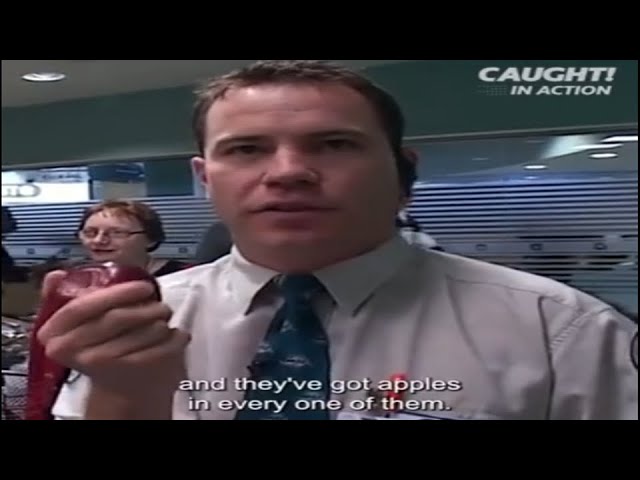 Illegal Apples Are Crazy