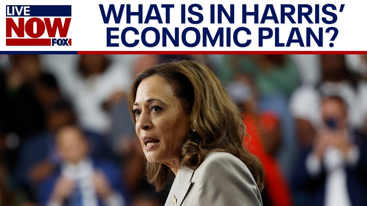 Kamala Harris calls for tax breaks, lowering costs in economy focused speech | LiveNOW from FOX