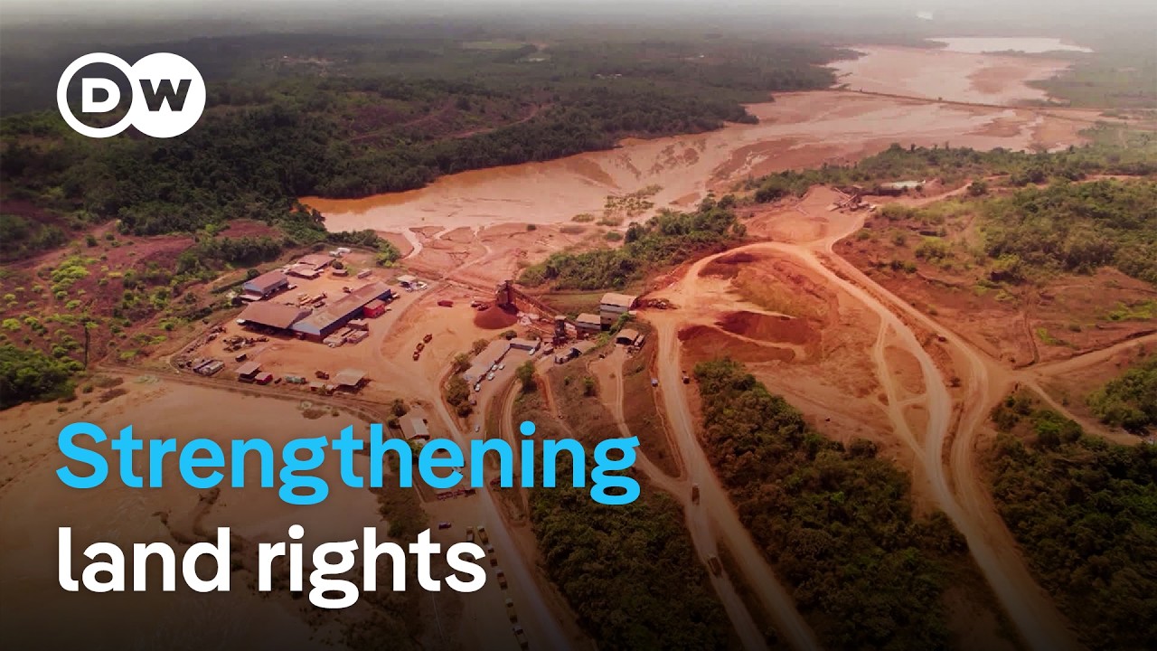 Land-grabbing and the fight for justice in Sierra Leone | DW Documentary