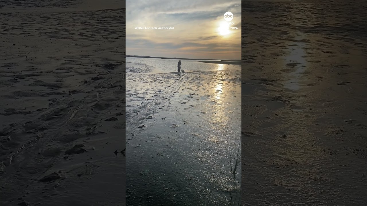 Man rescues stranded dolphins on Argentina beach