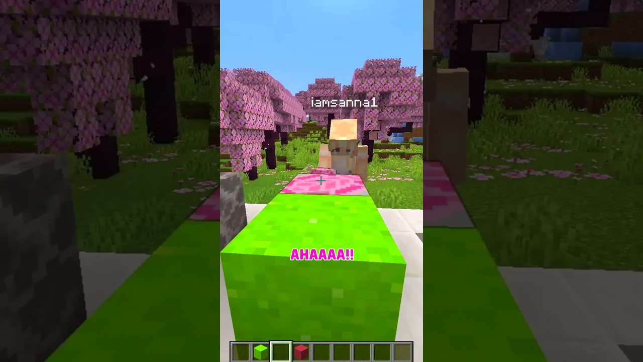 Minecraft Telepathy Challenge!