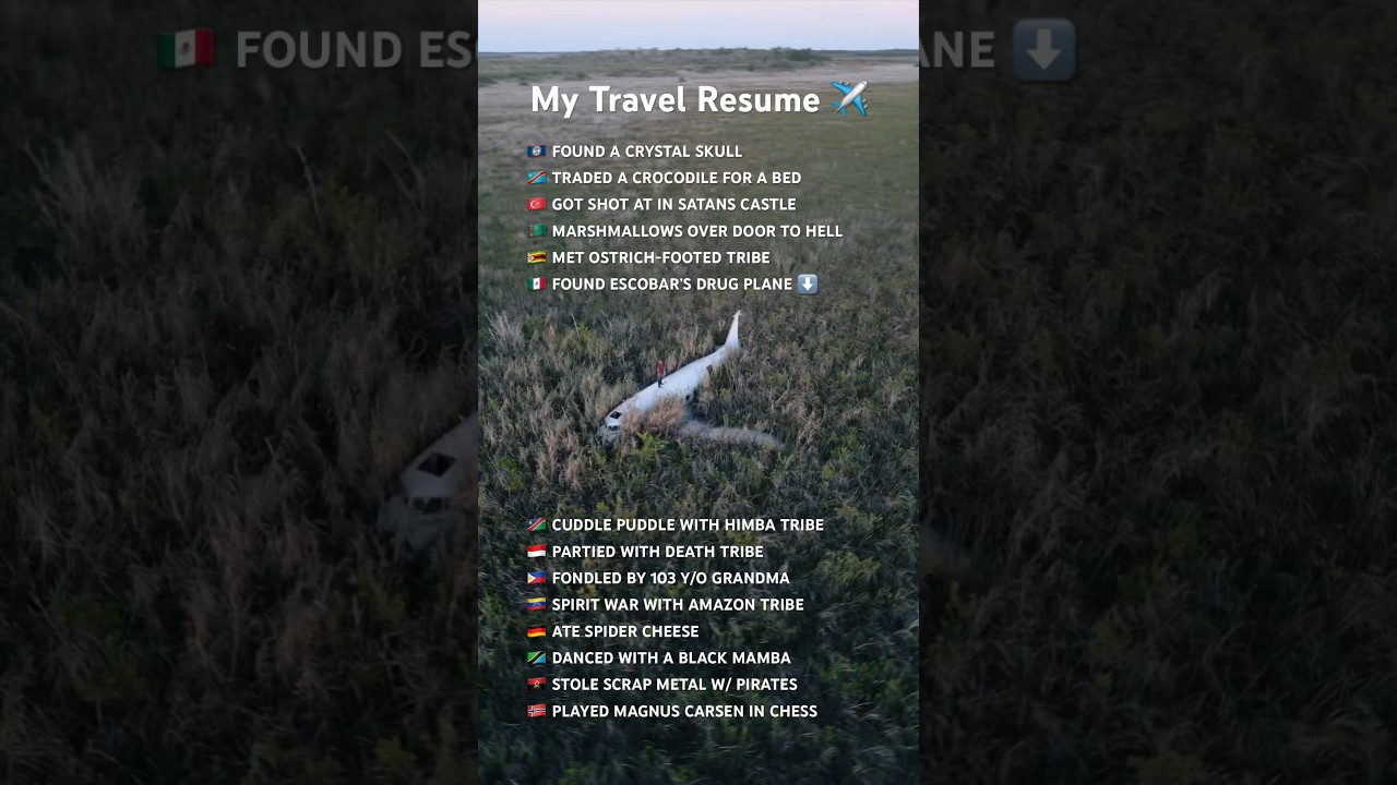 My Crazy Travel Resume ✈️