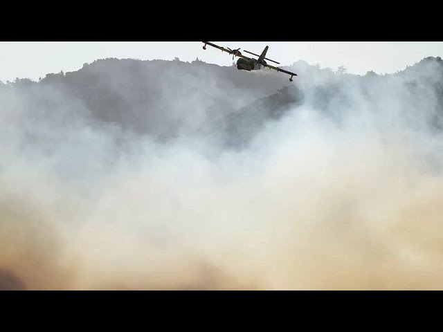 Portugal launches new fire prevention campaign as wildfires continue to rage