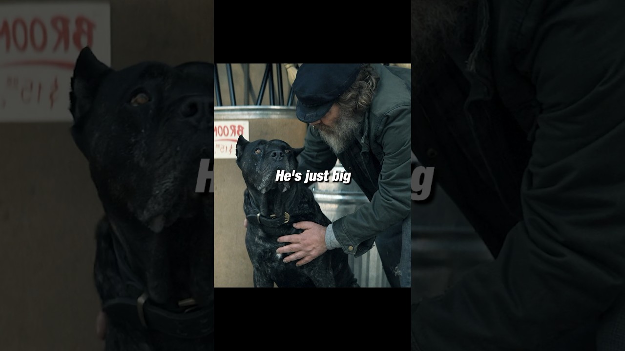 She poisoned a dog for nothing😨😠