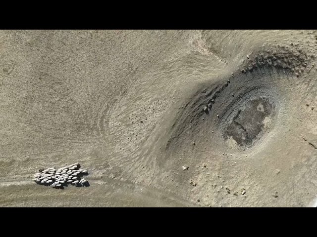 Sicilian farmers anxious about impact of record-high temperatures on agriculture