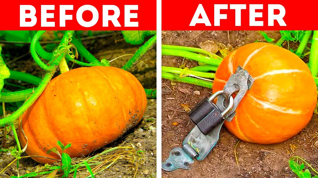 Simple Hacks for Every Gardener!