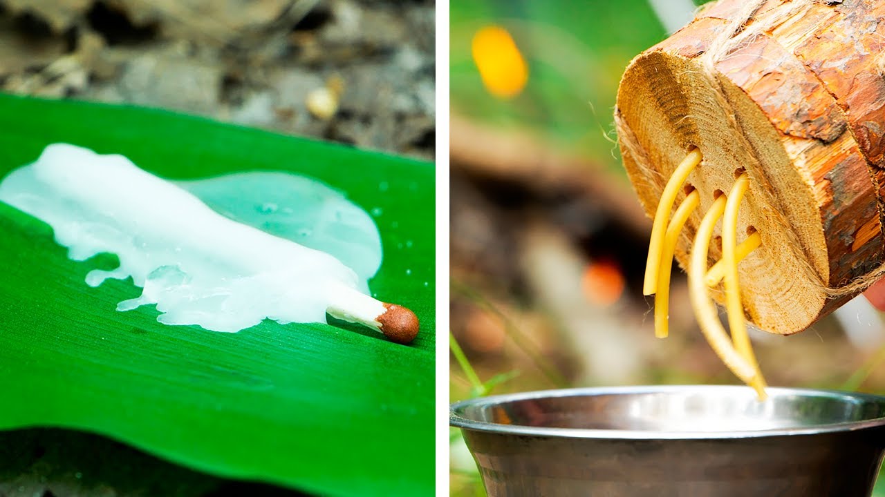 Smart Camping Hacks And Crafts You Need to Know