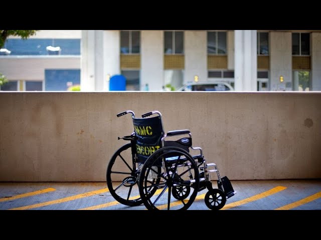 Summer camp for young people with disabilities returns to Lake Balaton