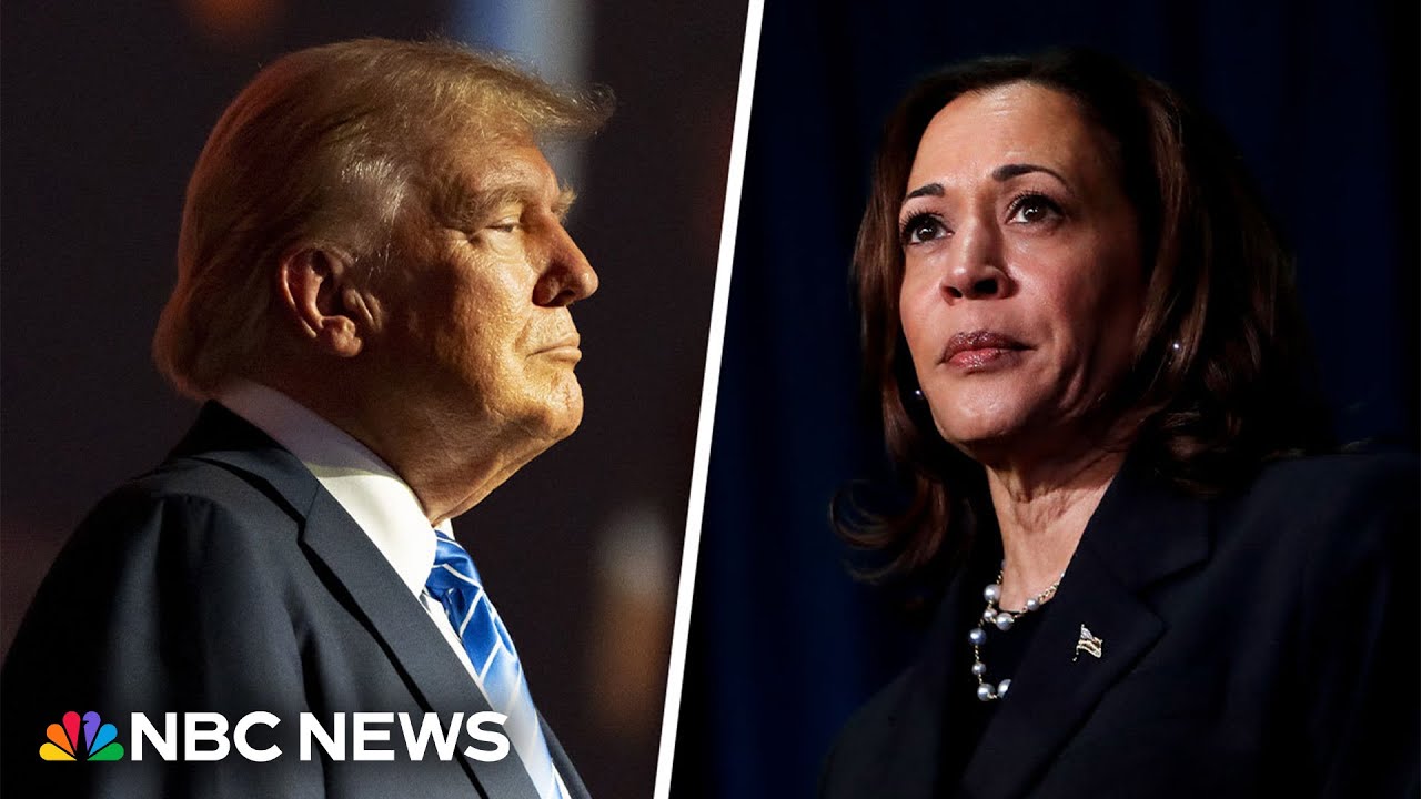 Trump plays ‘card of division’ when he questions Harris’ racial identity, Democratic senator says