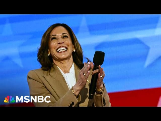 ‘We do great things because we focus on the issues that are in the middle’: GOP Mayor on Harris