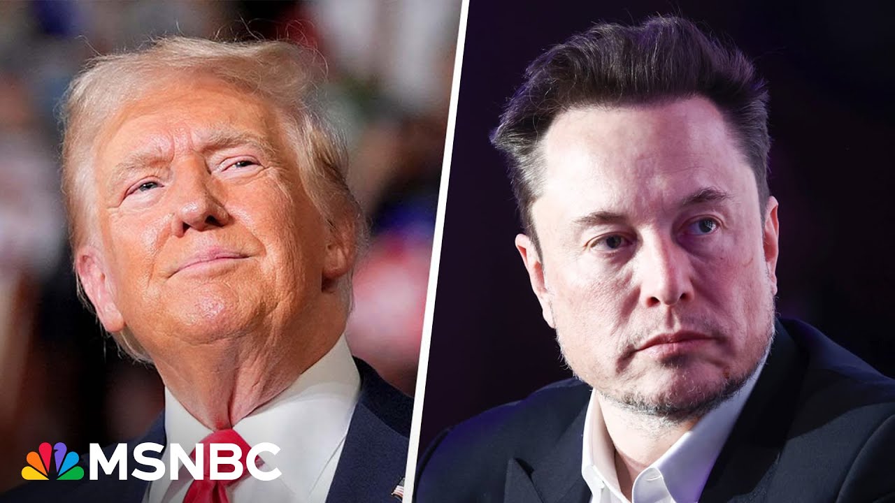 ‘We’ve never had robber barons with this kind of power before’: Examining Elon Musk’s political sway