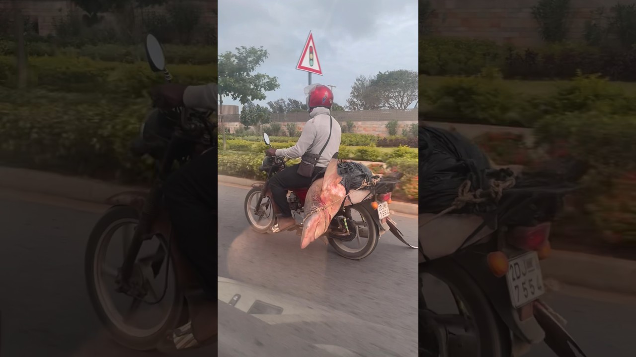 What’s he carrying on the motorcycle?!
