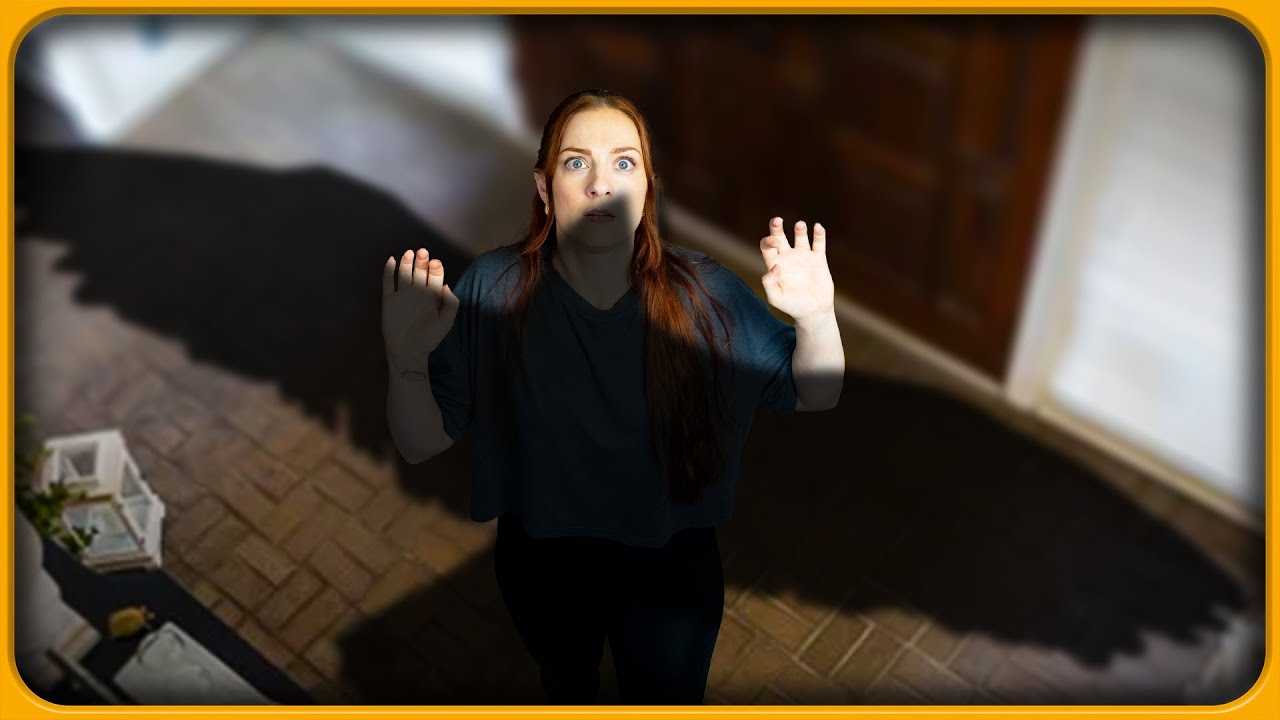 when there’s a bird in the house