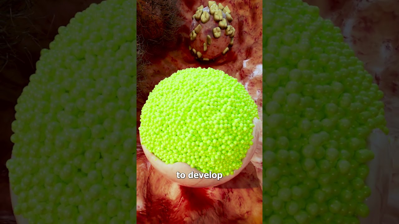 Why Some Tumors Have Teeth, Hair, And Eyes 🤯