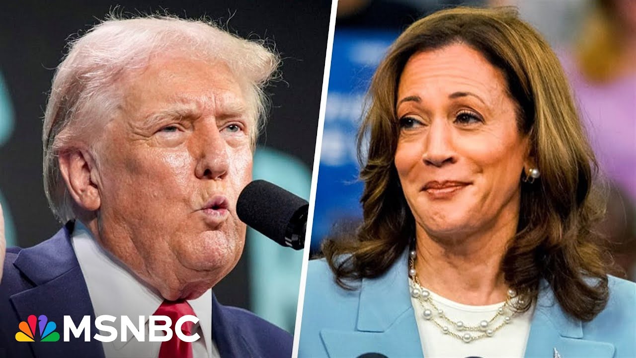 Will Trump campaign calling Harris-Walz ticket ‘dangerously liberal’ land with Americans?
