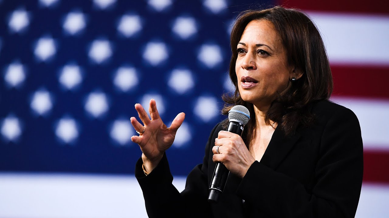 Zoellick: Harris Has to Reintroduce Herself to the Public
