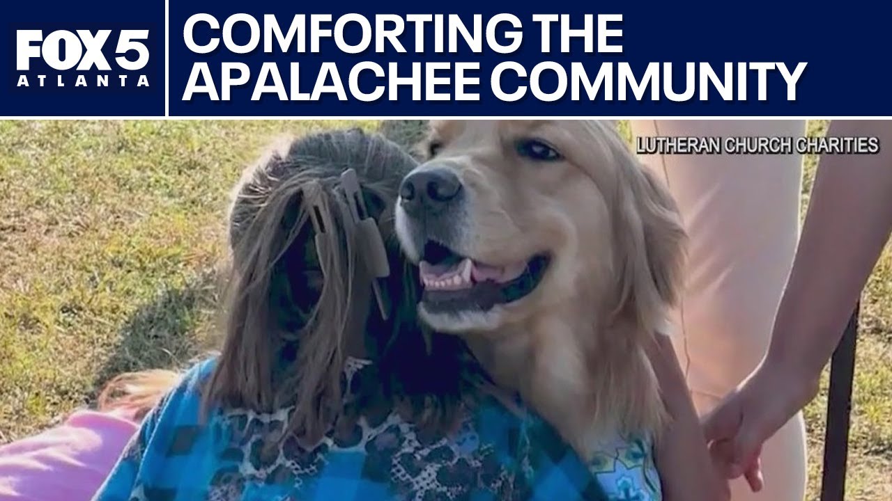 Comfort dogs visit Apalachee High School | FOX 5 News