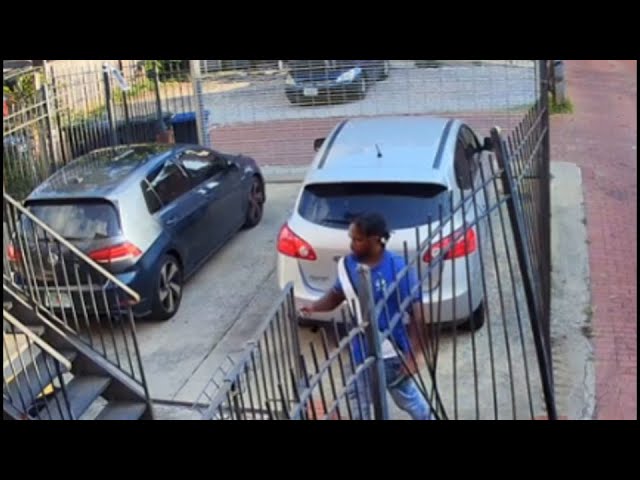 Cucumber Villain Terrorizes Washington DC