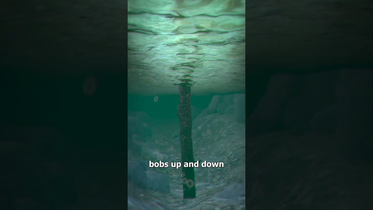 Deadly River Logs 😨