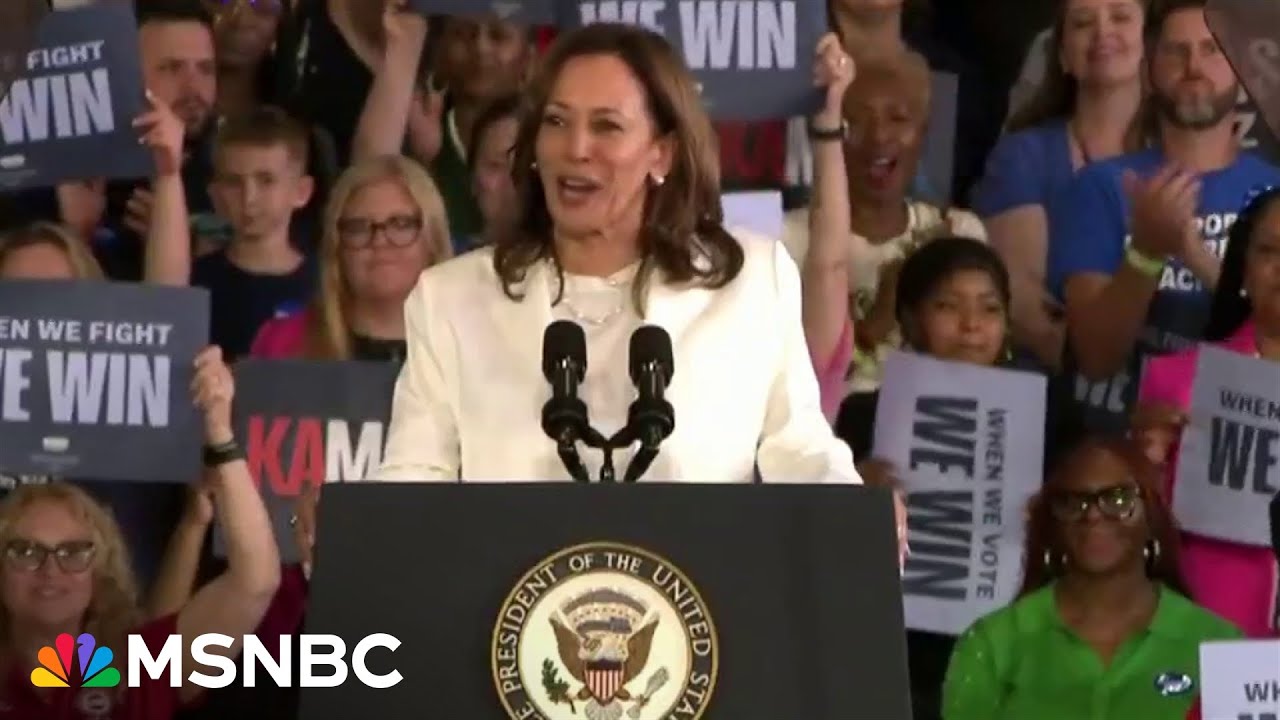 Dismiss’ Trump’s antics: panel discusses how Harris should deal with Trump at debate