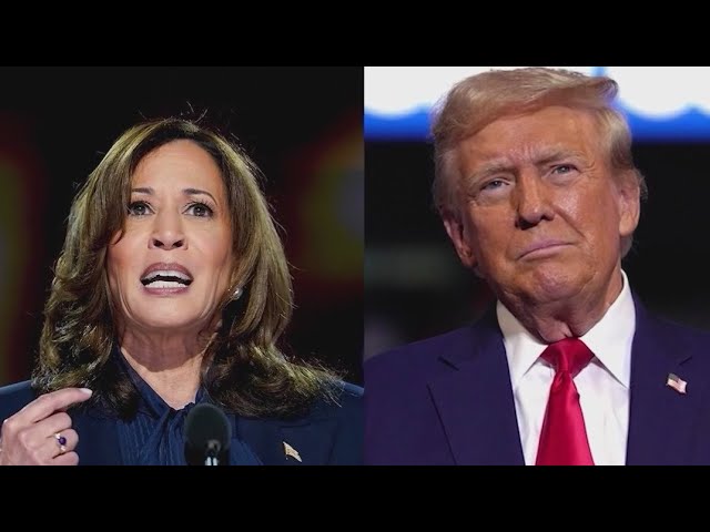 Experts predict political social media ads will get worse