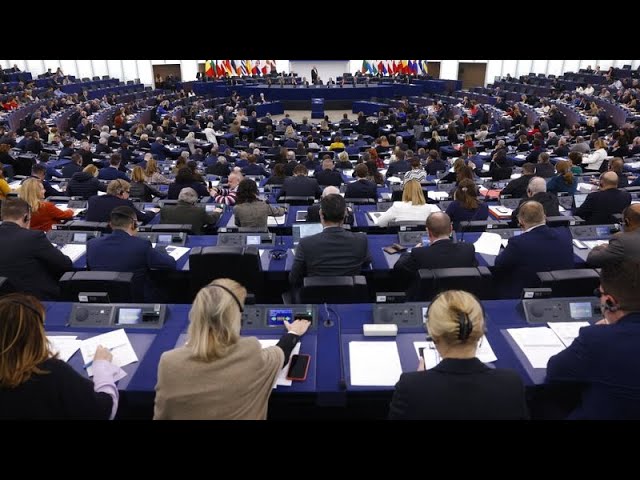 Former MEPs hunting for jobs: What are the EU’s ‘revolving doors’ rules?