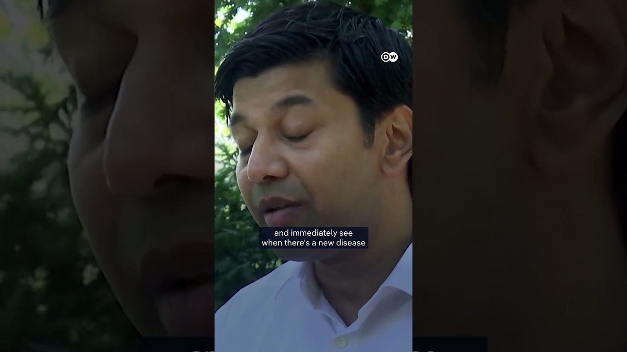 Gorillas in Berlin zoo take part in AI project | DW News