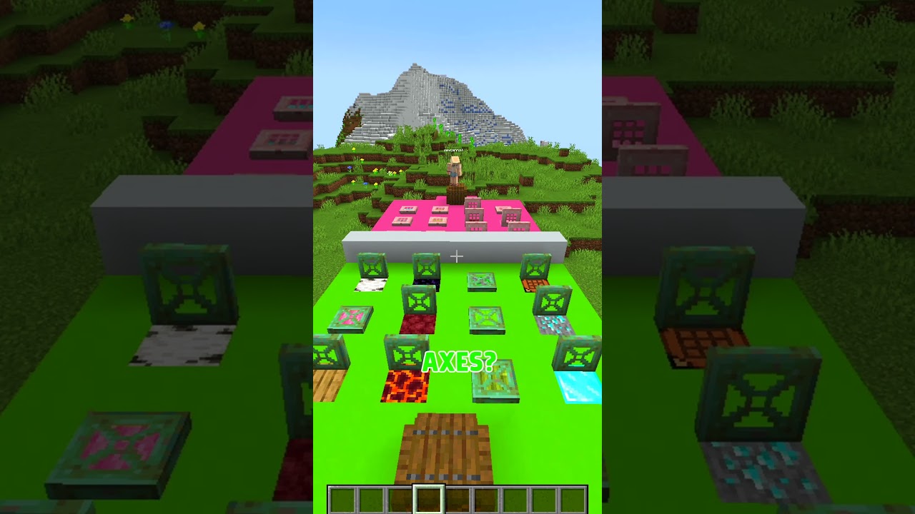 Guess The Block in Minecraft!