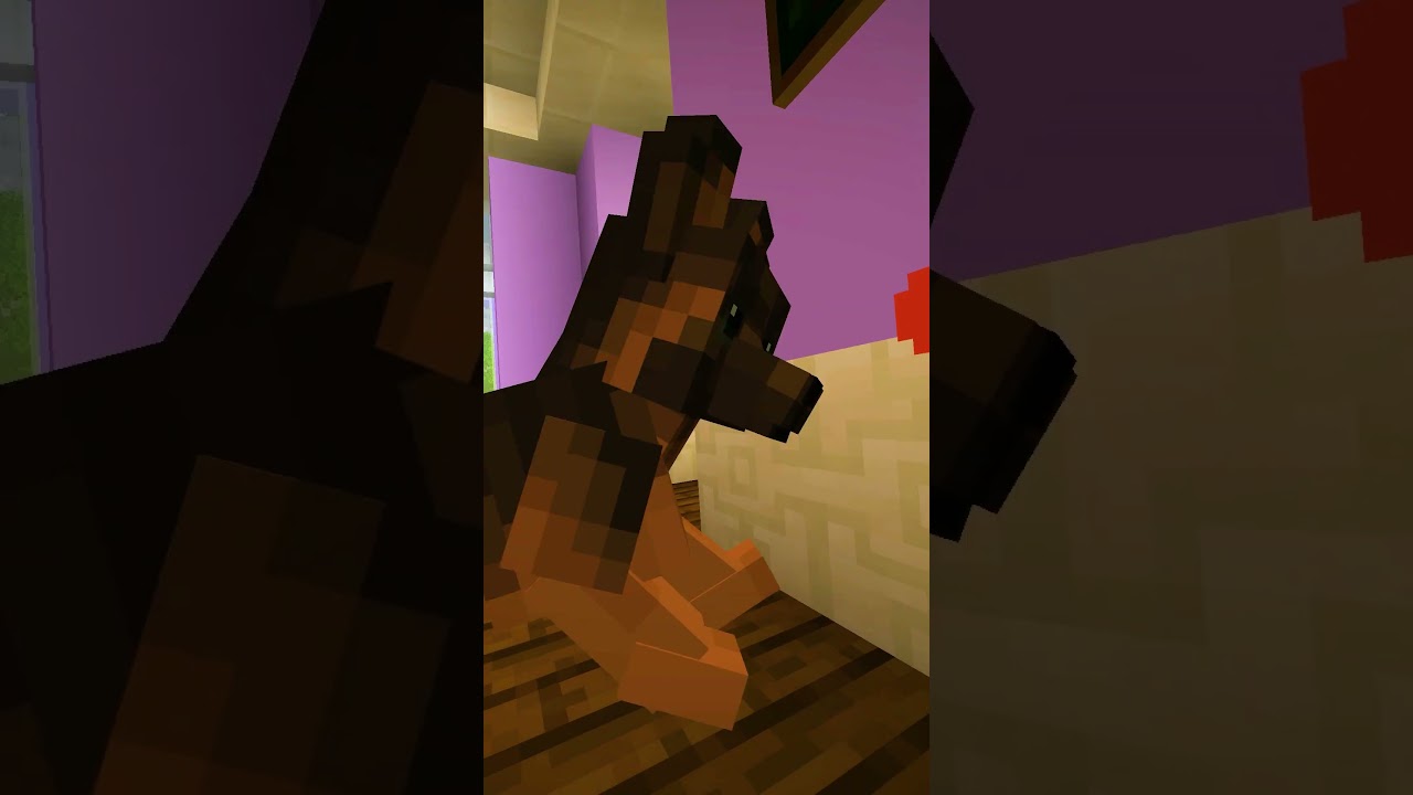 Having a CAT FAMILY!