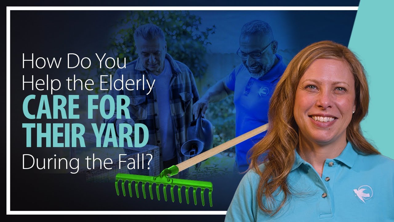 How do you Help the Elderly Care for Their Yard During Fall?
