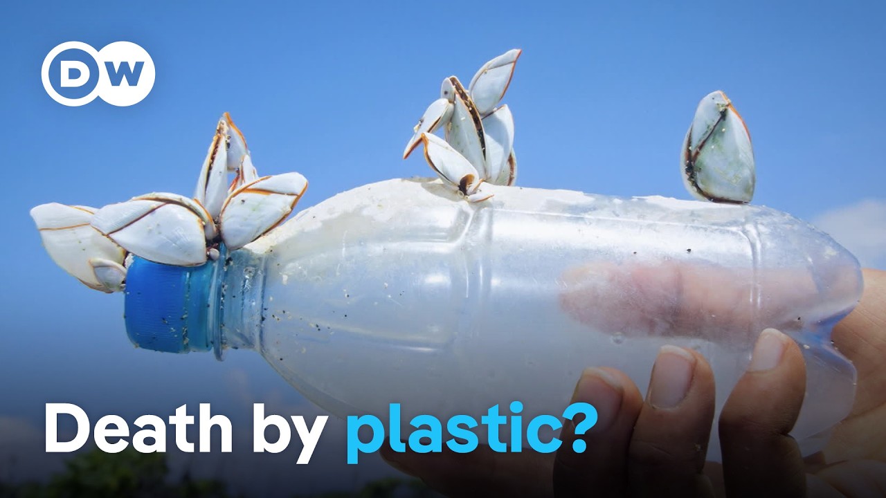 How plastic waste is poisoning the planet and what we can do about it | DW Documentary