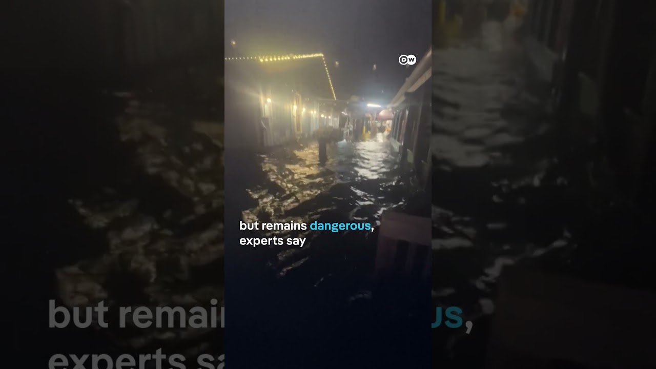 Hurricane Helene has made landfall over Florida | DW News