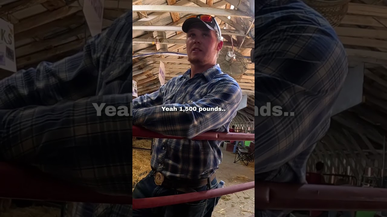 I asked about farming and THIS happened 🥺❤️