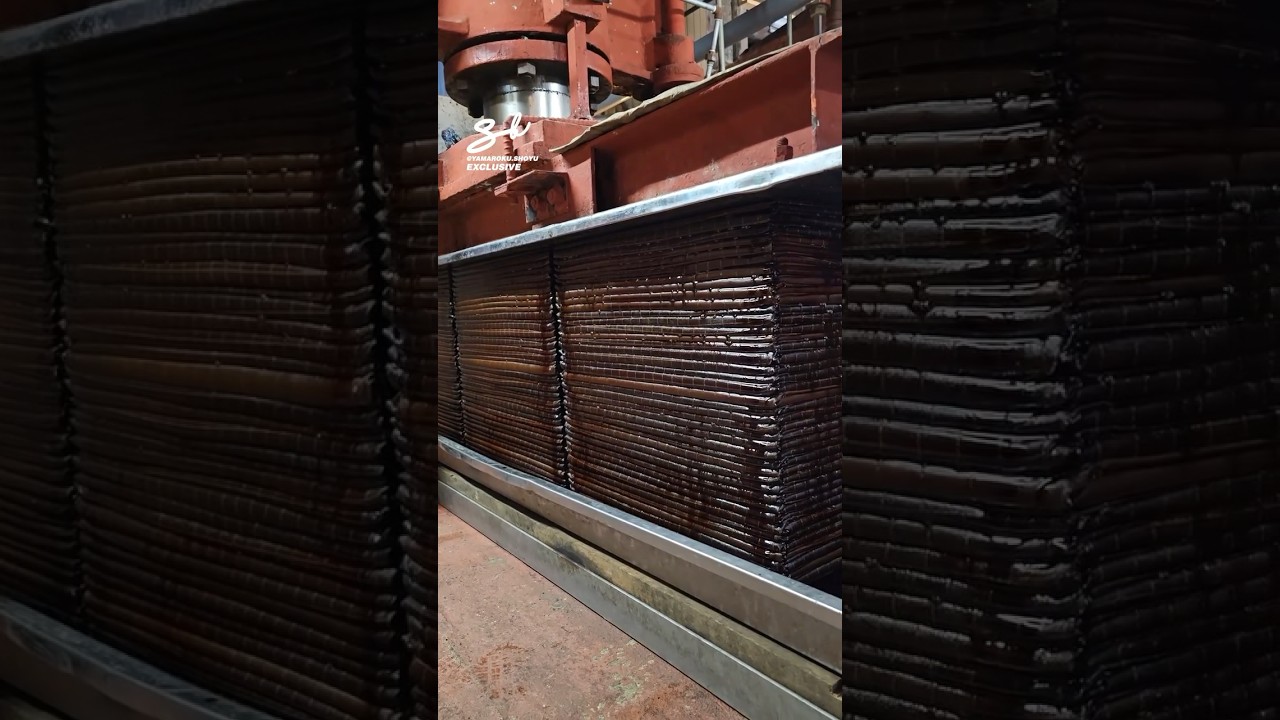 If this is how soy sauce is made, then I don’t want it anymore…🫣 #soysauce #machinery #food