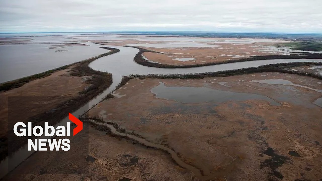 Lake Winnipeg should be legally granted personhood, Manitoba chiefs say