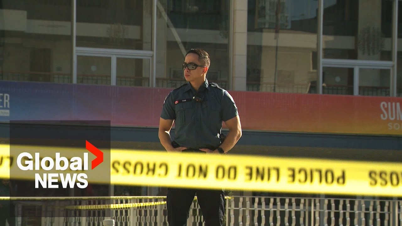 “Mayhem on the street”: Vancouver police share new info about response to stranger attacks