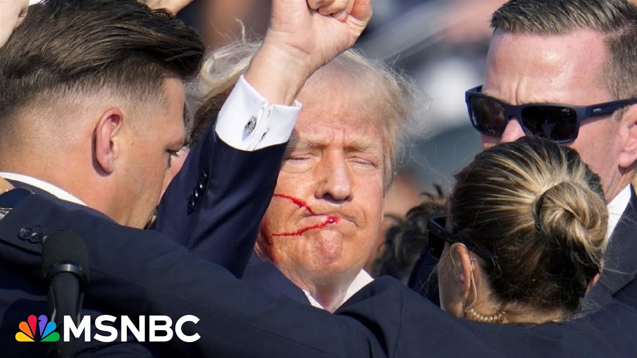 Secret Service made ‘human error’ day of first Trump assassination attempt: Rep. Moskowitz