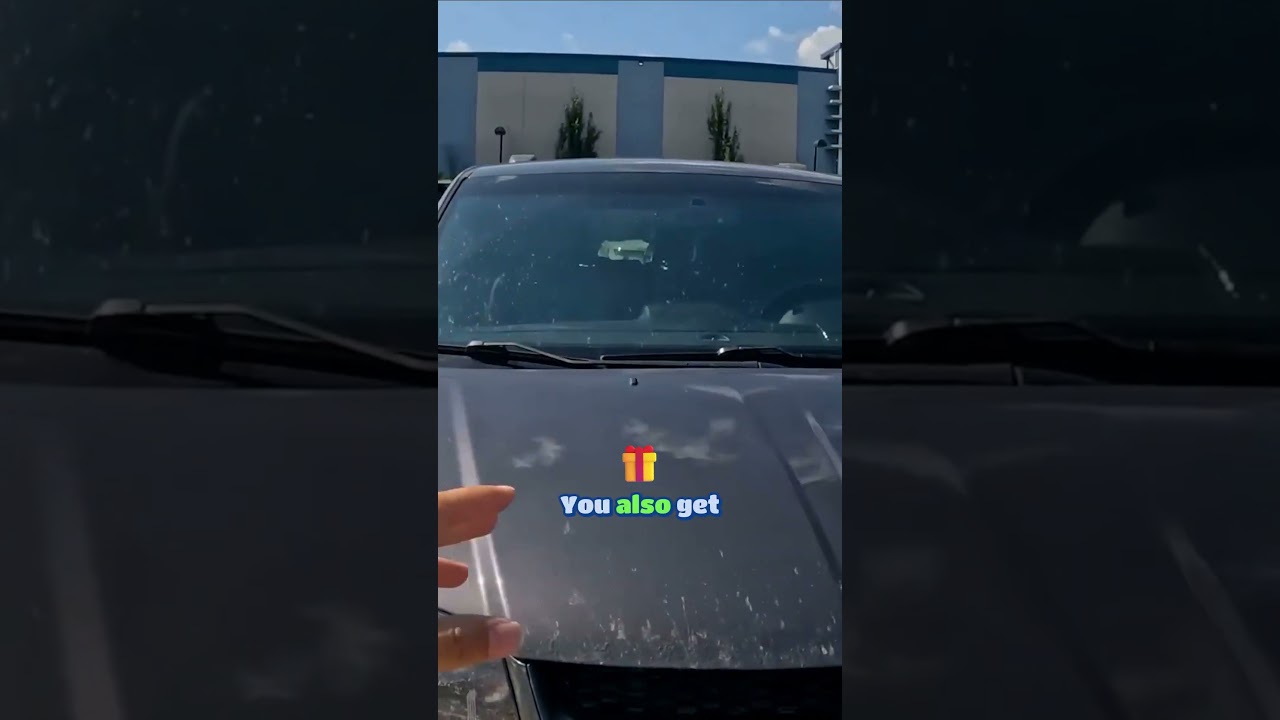 The DOG Caravan! #cars #funny #enginefailure