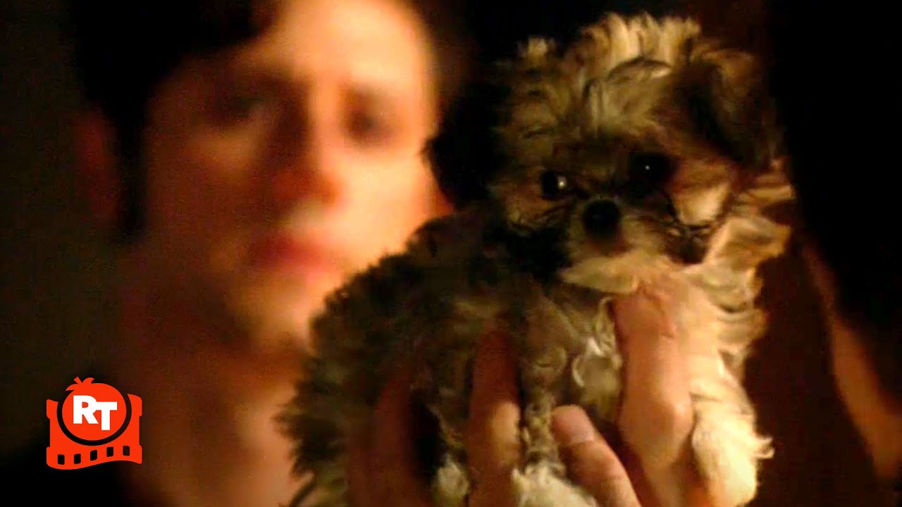 The Magicians (2015) – Gerald, the Cancer Puppy Scene (S1E5) | Movieclips