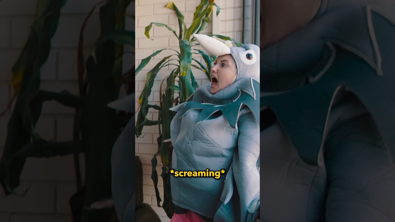 There’s a bird in the house but you live in Australia