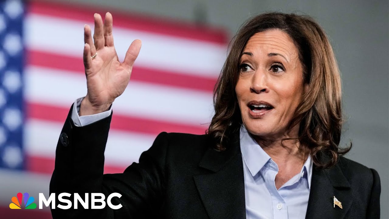 ‘This is a super pro-business agenda’: Kamala Harris’ economic plans for small businesses