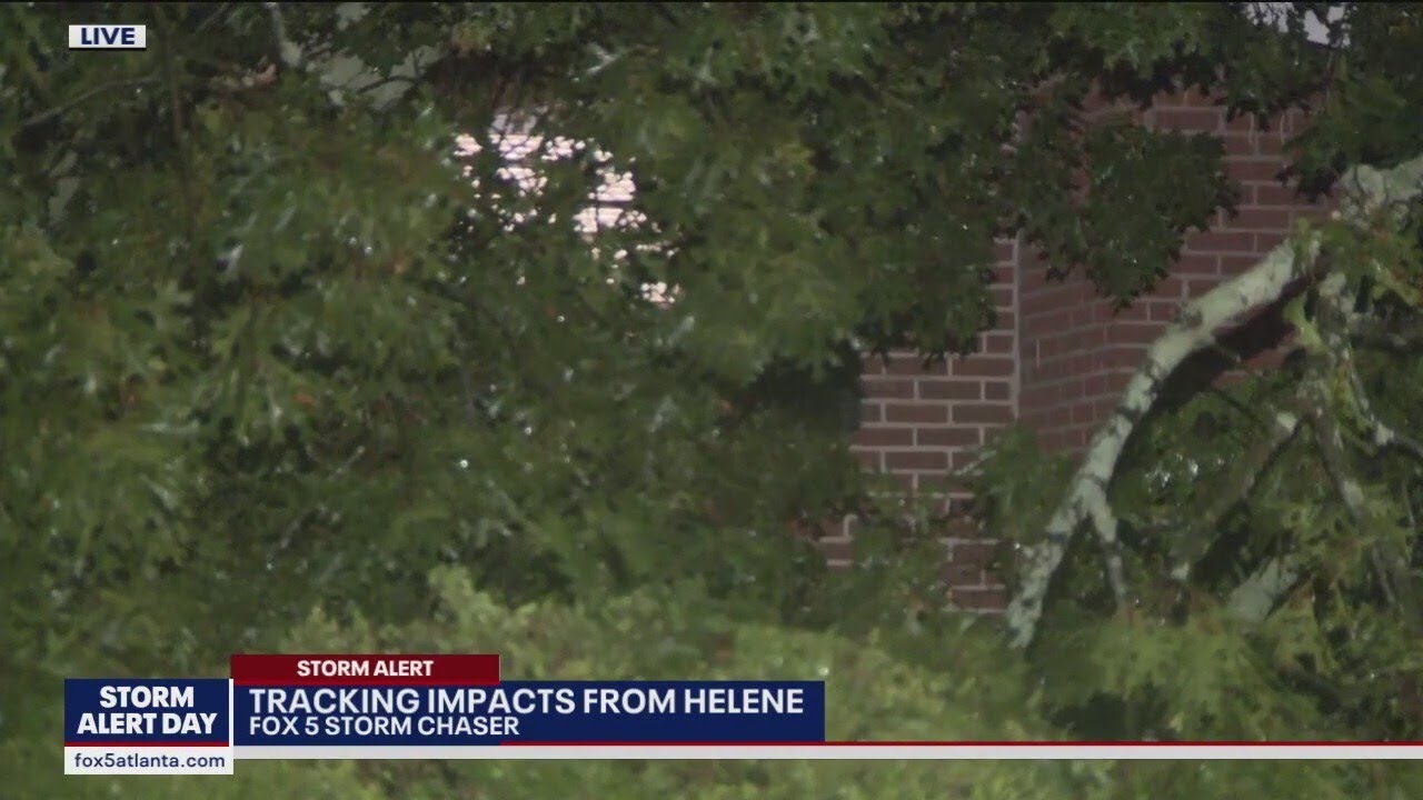 Tree falls on home ahead of Helene | FOX 5 News