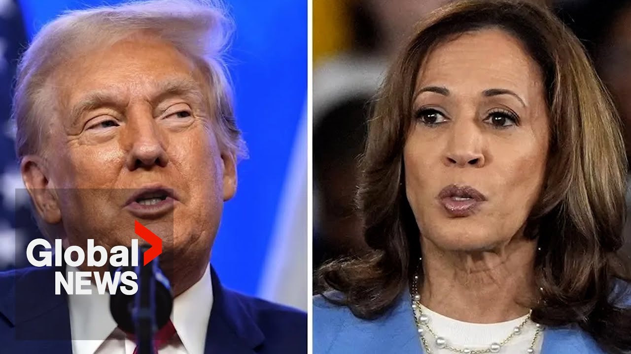 US election 2024: Harris, Trump head-to-head in polls with only 2 months to go