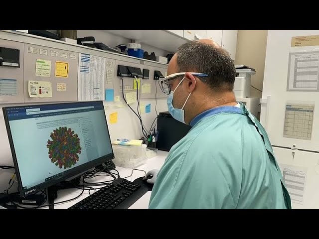 West Nile virus vaccine still ‘years away’ as disease spreads in Spain