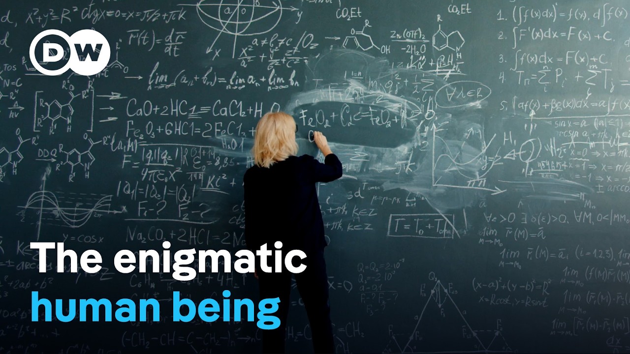 What distinguishes humans from animals? | DW Documentary