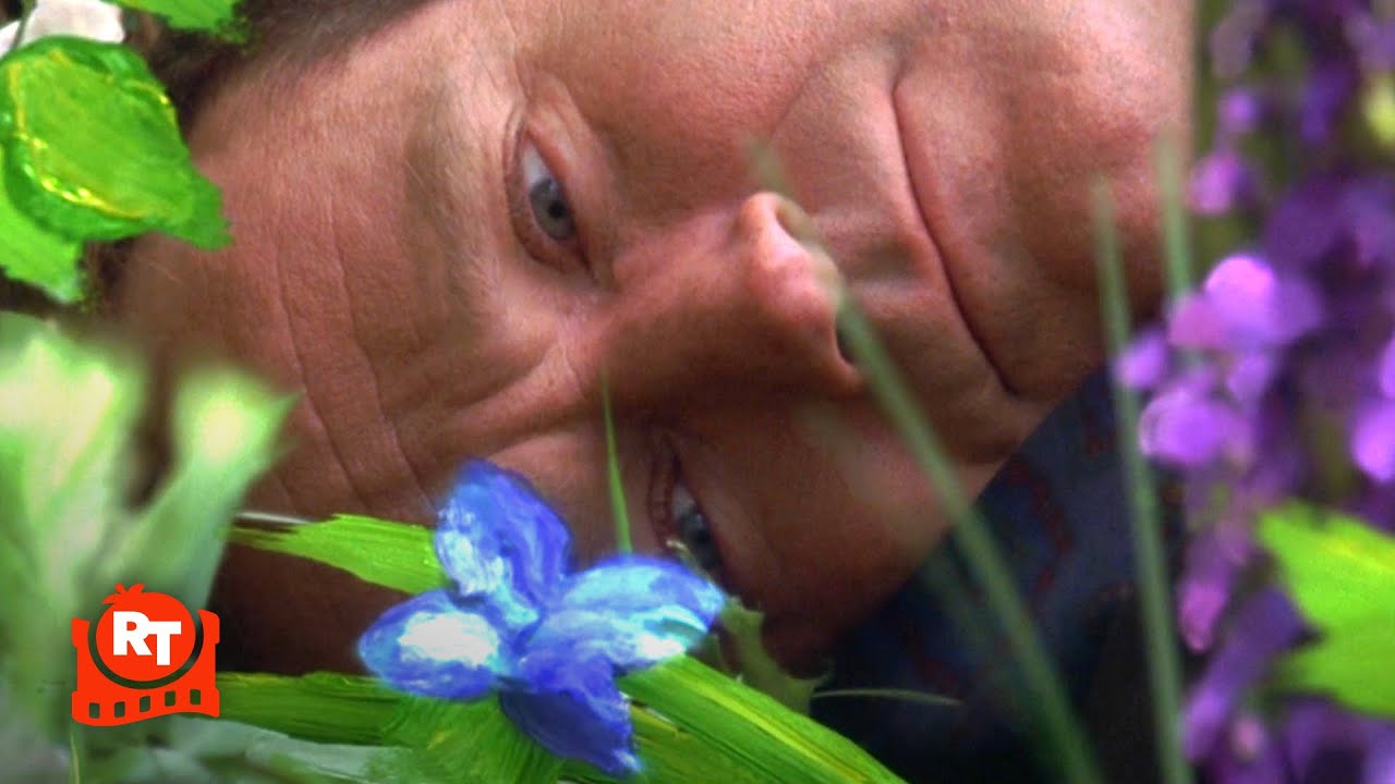 What Dreams May Come (1998) – Robin Williams In Painted Heaven Scene | Movieclips